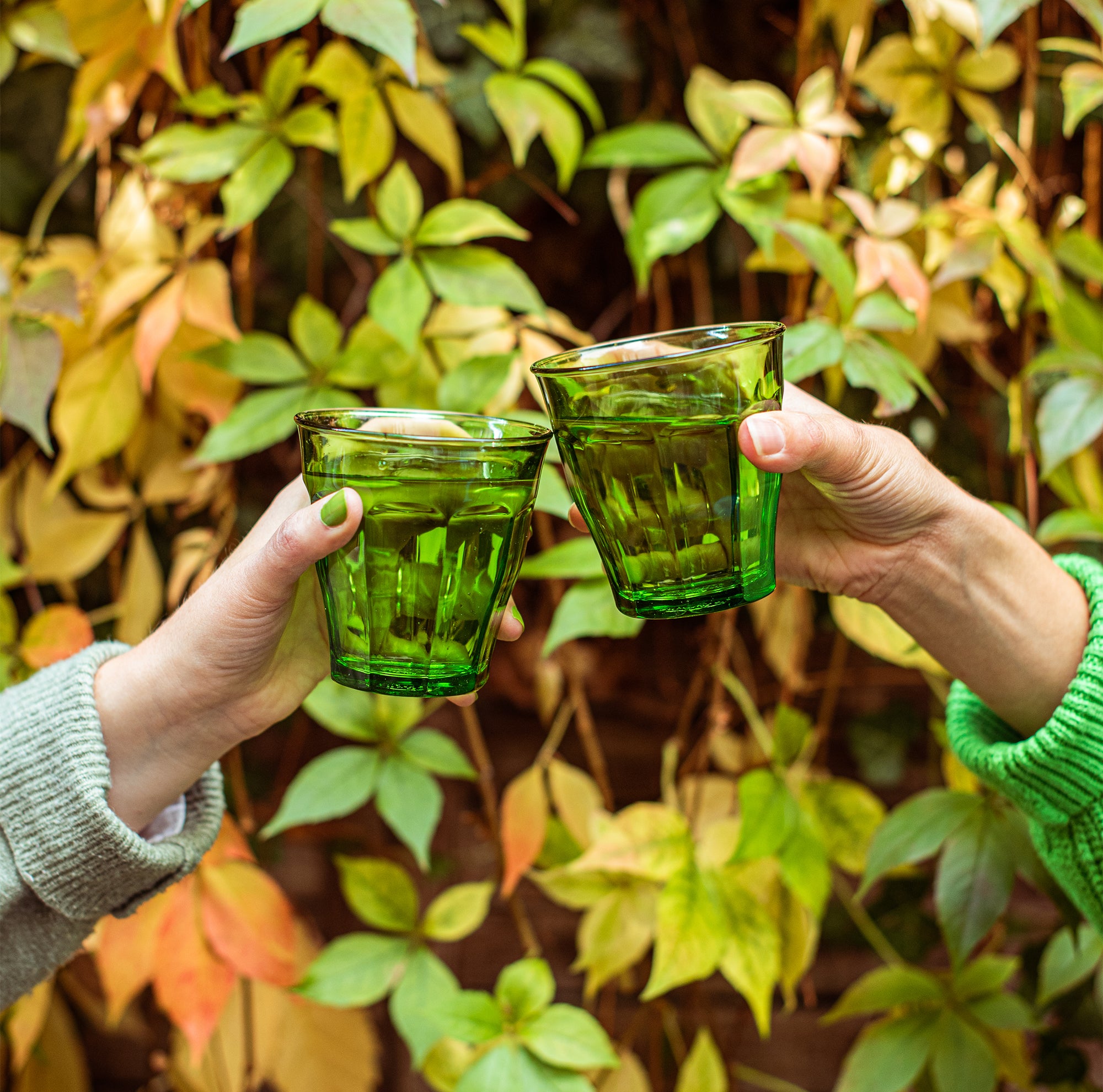 Le Picardie® Green Tumbler (Set of 6)